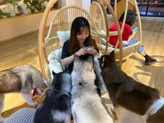 -Husky Go! 哈士奇体验馆·宠物咖啡厅狗咖