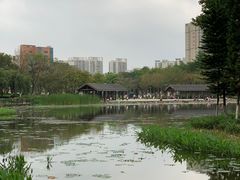 -映月湖公园