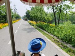 -贡湖湾湿地公园