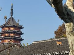 -朱新年·苏式汤团·面点(北寺塔店)