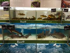 -永辉超市(红旗街万达广场店)