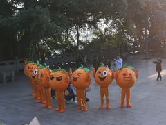 -船政文化景区-罗星塔公园