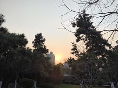 -明故宫遗址公园