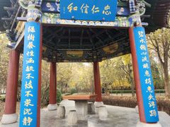 -迎泽公园