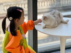 -怪兽屋·羊驼·猫咖·狗咖(俊华广场店)