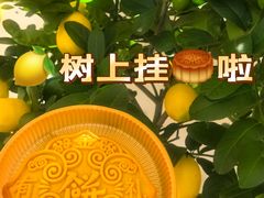 -狮王府淮扬菜(老门东店)