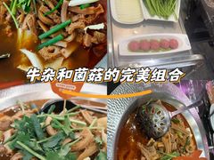 -古乐牛香·鲜牛肉牛杂火锅(高新店)