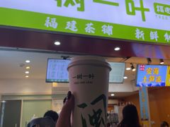 -一树一叶·福建茶档(石鼓路店)