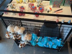 -紫阳海鲜楼·传承闽味(长乐路总店)