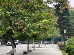 -广西职业师范学院(相思湖校区)