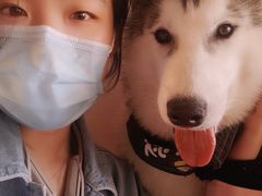 -Husky Go! 哈士奇体验馆·宠物咖啡厅狗咖