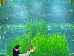 -海合安成都极地海洋公园