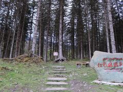 -硗碛藏寨·神木垒景区