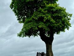 -露天矿生态公园