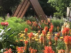 -深圳仙湖植物园