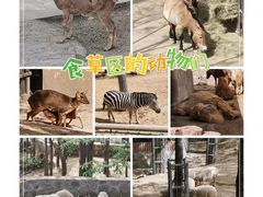 -石家庄市动物园