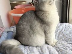 -荔康动物医院(康王北路店)