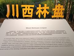 -四川大学博物馆