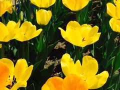 -长春公园(普阳街道)