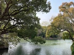 -西溪国家湿地公园