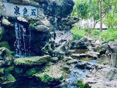 -上海醉白池公园