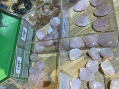 -天津自然博物馆