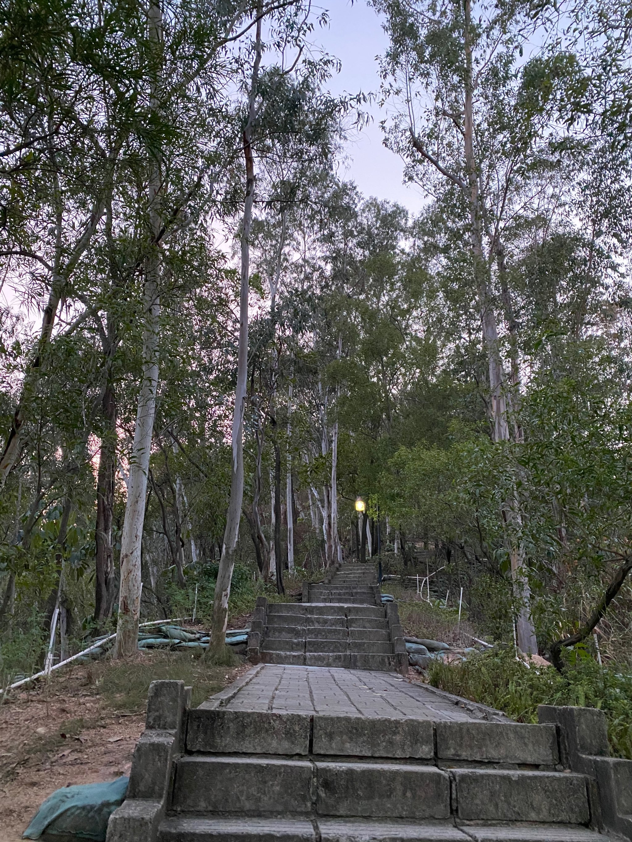 南山公园位于广东省深圳市南头半岛,主峰高