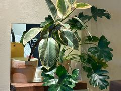 -luutosa  cafe & tea 鹿兔山