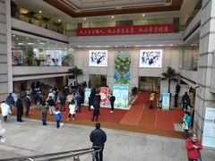 -中国福利会少年宫