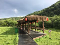 景点-大水川景区