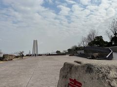 -上海滨江森林公园