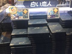 -关西国际机场直营免税店