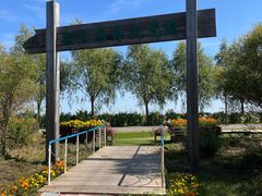 -呼兰河口湿地公园