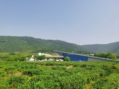 -湾里人家(旺山景区店)