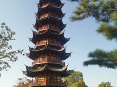 -龙华素斋(龙华路店)