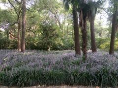 -中国人民解放军联勤保障部队第九〇三医院(九里松院区)