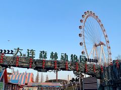 -大连森林动物园