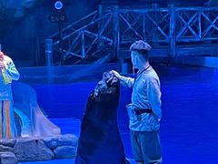 -芜湖新华联大白鲸海洋公园