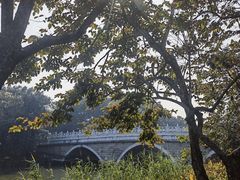 -海珠湖公园