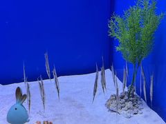 -石家庄极地海洋世界