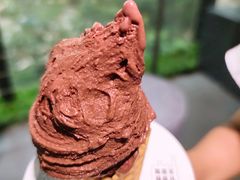 经典巧克力-野人牧坊Gelato(天津南开大悦城店)