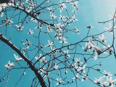 -一兆韦德健身(凤凰城店)