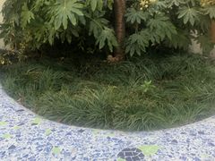 -迪士尼小镇