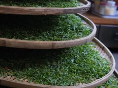 -西湖风景区十里琅珰-五云山