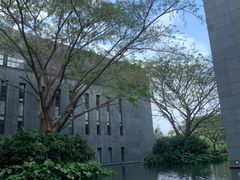 -三亚太阳湾柏悦酒店