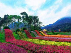 -广州市石门国家森林公园