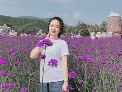 -玫瑰海岸文化旅游度假区