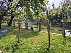 -晓港公园