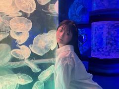 -左海海底世界