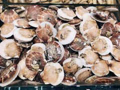 -半岛听涛蒸汽海鲜自助(K11店)
